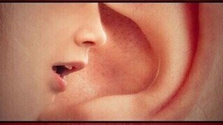 35 Disgusting Facts About Our Disgusting Human Bodies