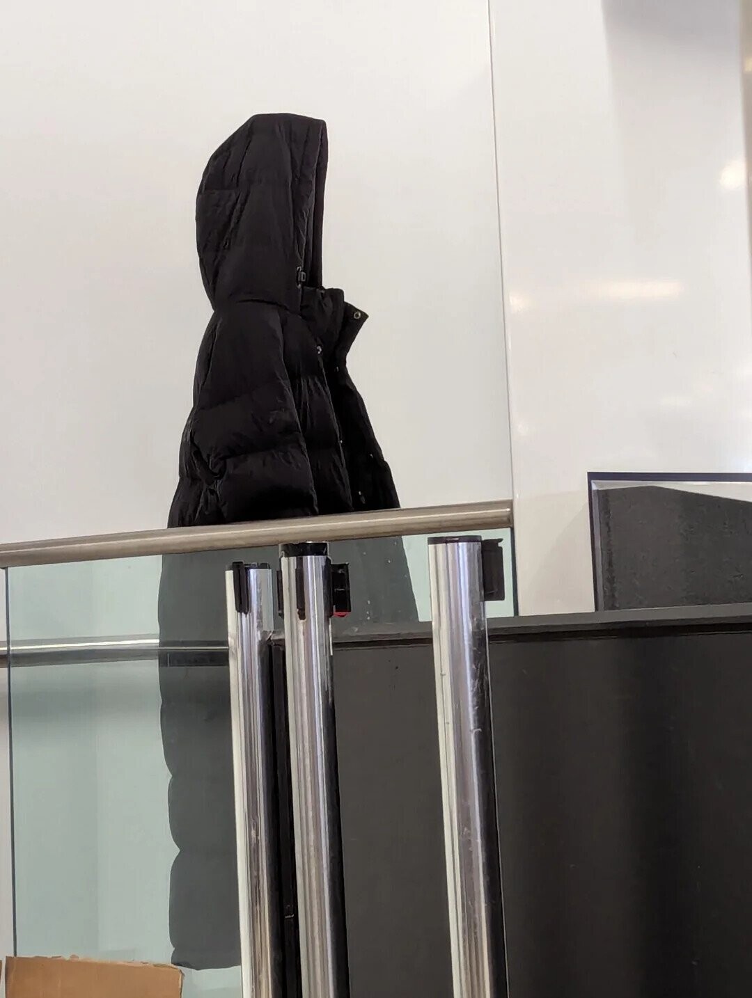 Satisfying Photos Taken at Precisely the Perfect Moment