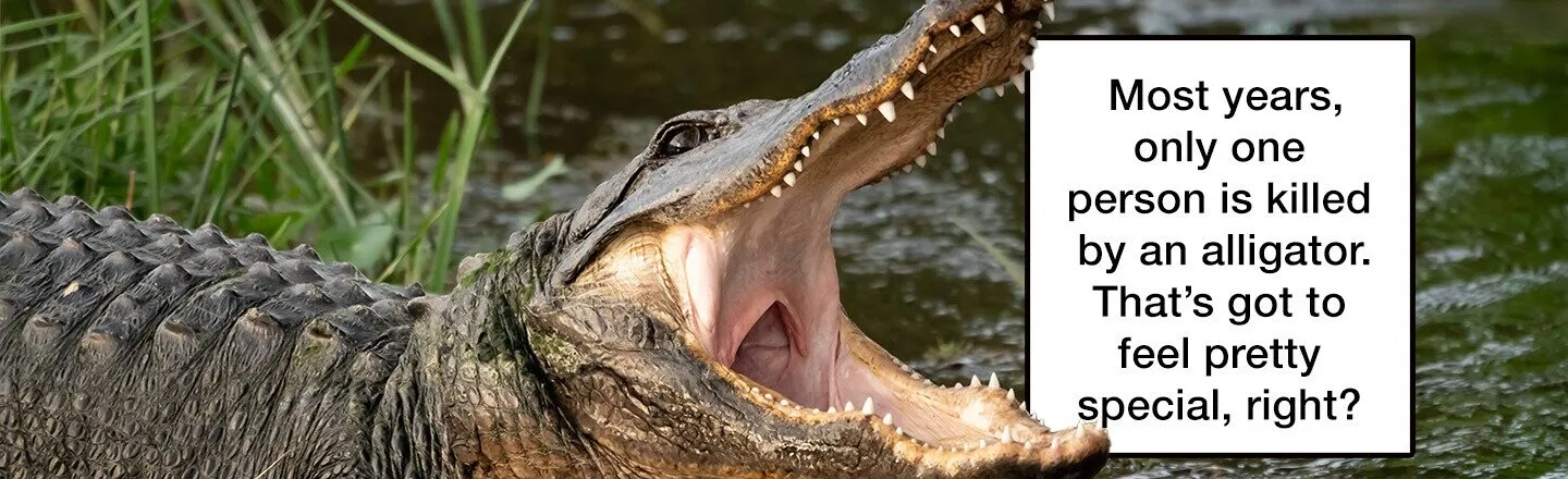 17 Dangerous Creatures You’d Feel Honored to Be Devoured By Because They’re Badass