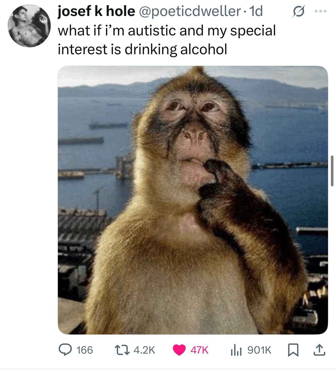 josef k hole @poeticdweller.1d s ... what if i'm autistic and my special interest is drinking alcohol 47K 166 4.2K 901K 