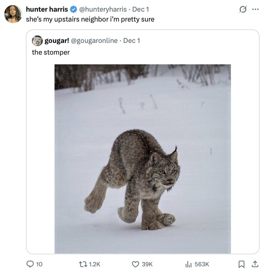 hunter harris G ... @hunteryharris Dec 1 she's my upstairs neighbor i'm pretty sure gougar! @gougaronline.Dec 1 the stomper 10 1.2K 39K 563K