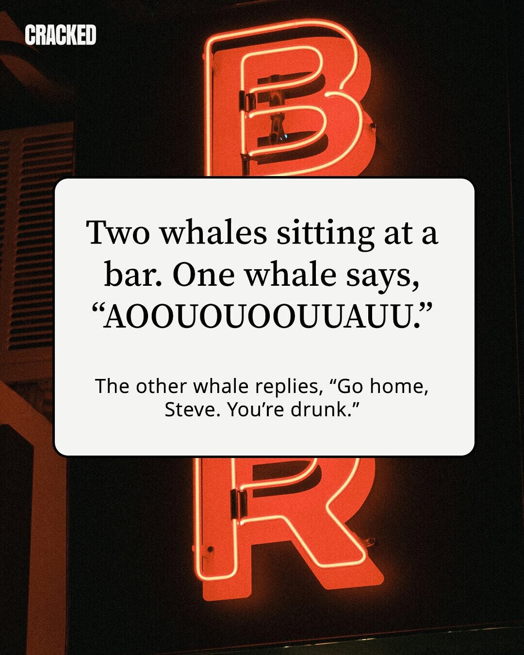 CRACKED Two whales sitting at a bar. One whale says, AOOUOUOOUUAUU. The other whale replies, Go home, Steve. You're drunk.