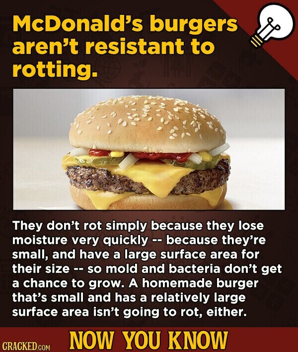 McDonald's burgers aren't resistant to rotting. They don't rot simply because they lose moisture very quickly - because they're small, and have a large surface area for their size - - so mold and bacteria don't get a chance to grow. A homemade burger that's small and has a relatively large surface area isn't going to rot, either. NOW YOU KNOW CRACKED.COM