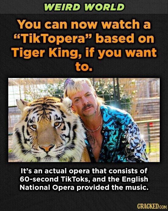 WEIRD WORLD You can now watch a TikTopera based on Tiger King, if you want to. It's an actual opera that consists of 60-second TikToks, and the English National Opera provided the music. CRACKED.COM