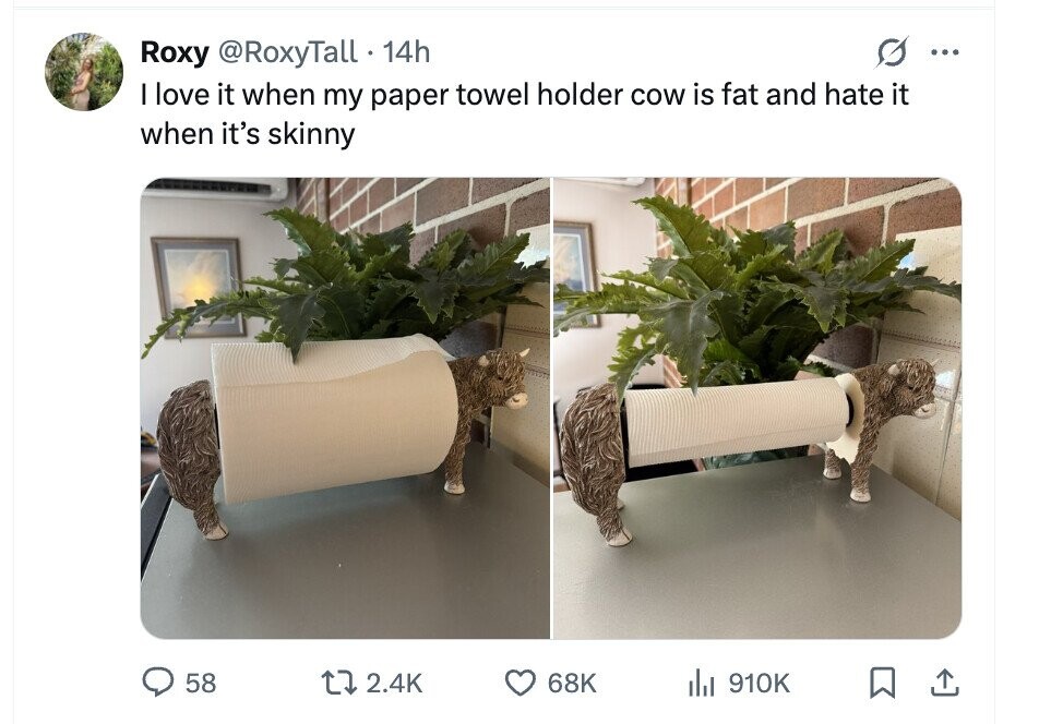 Roxy @RoxyTall 14h ... I love it when my paper towel holder cow is fat and hate it when it's skinny 58 2.4K 68K del 910K