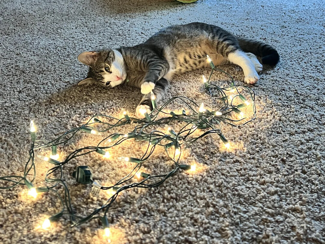 Unsettling Coincidences People Accidentally Captured