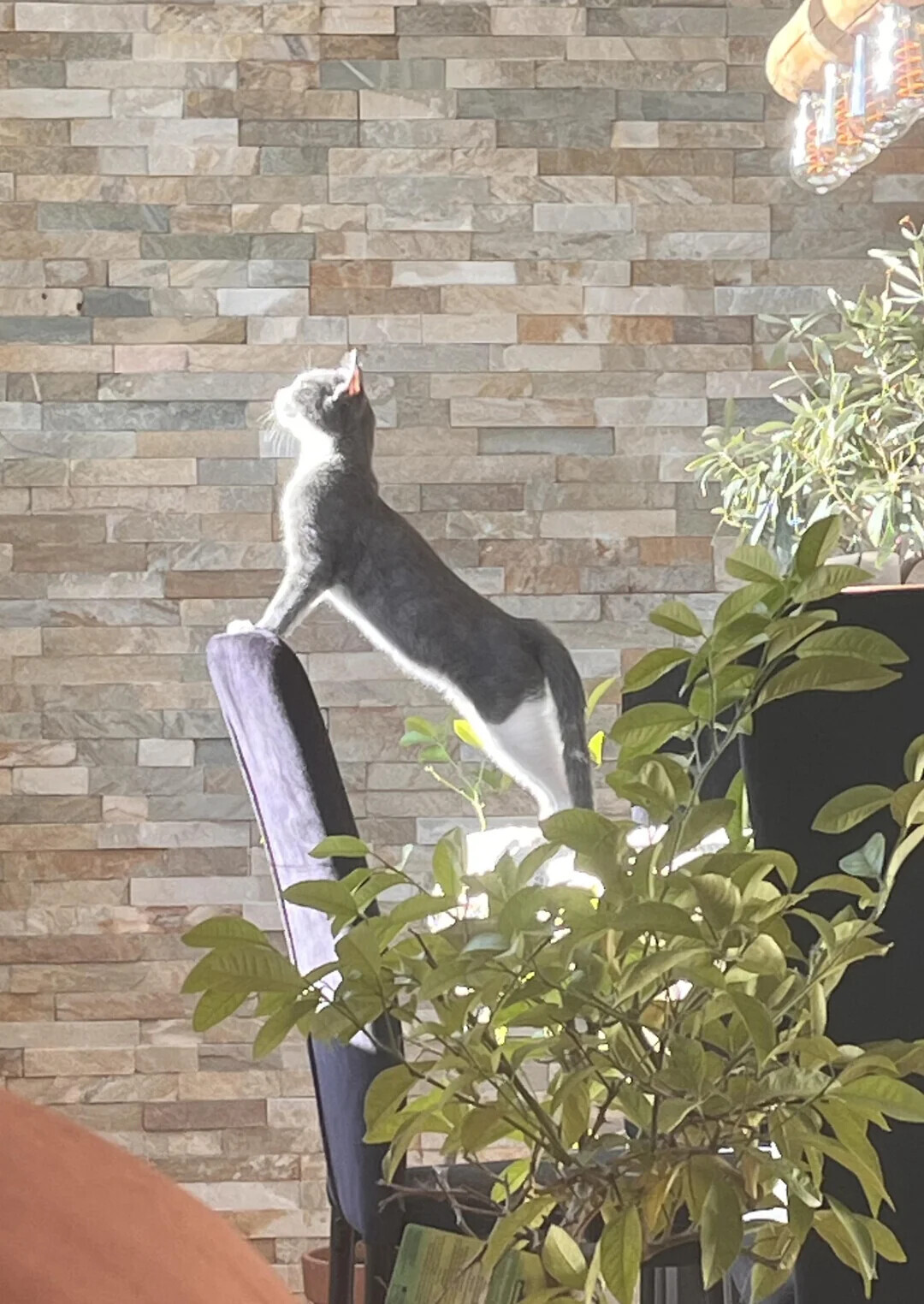 Unsettling Coincidences People Accidentally Captured