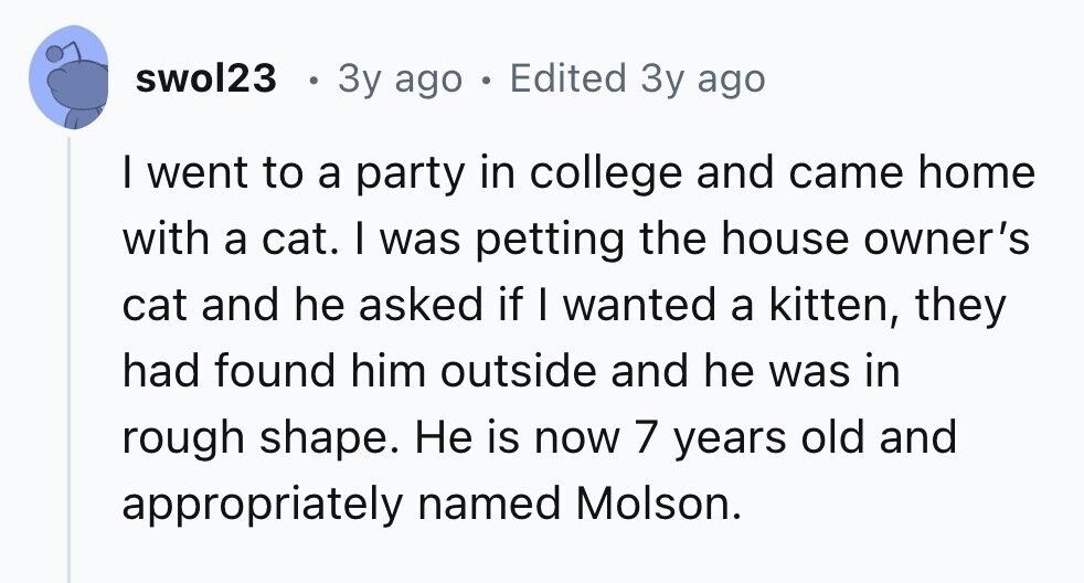swol23 в 3y ago . Edited 3y ago I went to a party in college and came home with a cat. I was petting the house owner's cat and he asked if I wanted a kitten, they had found him outside and he was in rough shape. Не is now 7 years old and appropriately named Molson. 