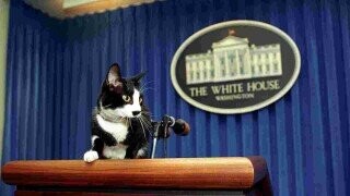 White House Zoo: The Strangest Presidential Pets