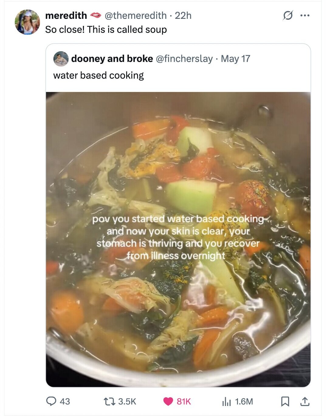 meredith @themeredith . 22h O ... So close! This is called soup dooney and broke @fincherslay May 17 water based cooking pov you started water based cooking and now your skin is clear, your stomach is thriving and you recover from illness overnight 81K 43 3.5K del 1.6M