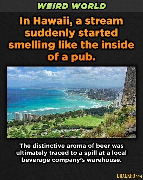 WEIRD WORLD In Hawaii, a stream suddenly started smelling like the inside of a pub. The distinctive aroma of beer was ultimately traced to a spill at a local beverage company's warehouse. CRACKED.COM