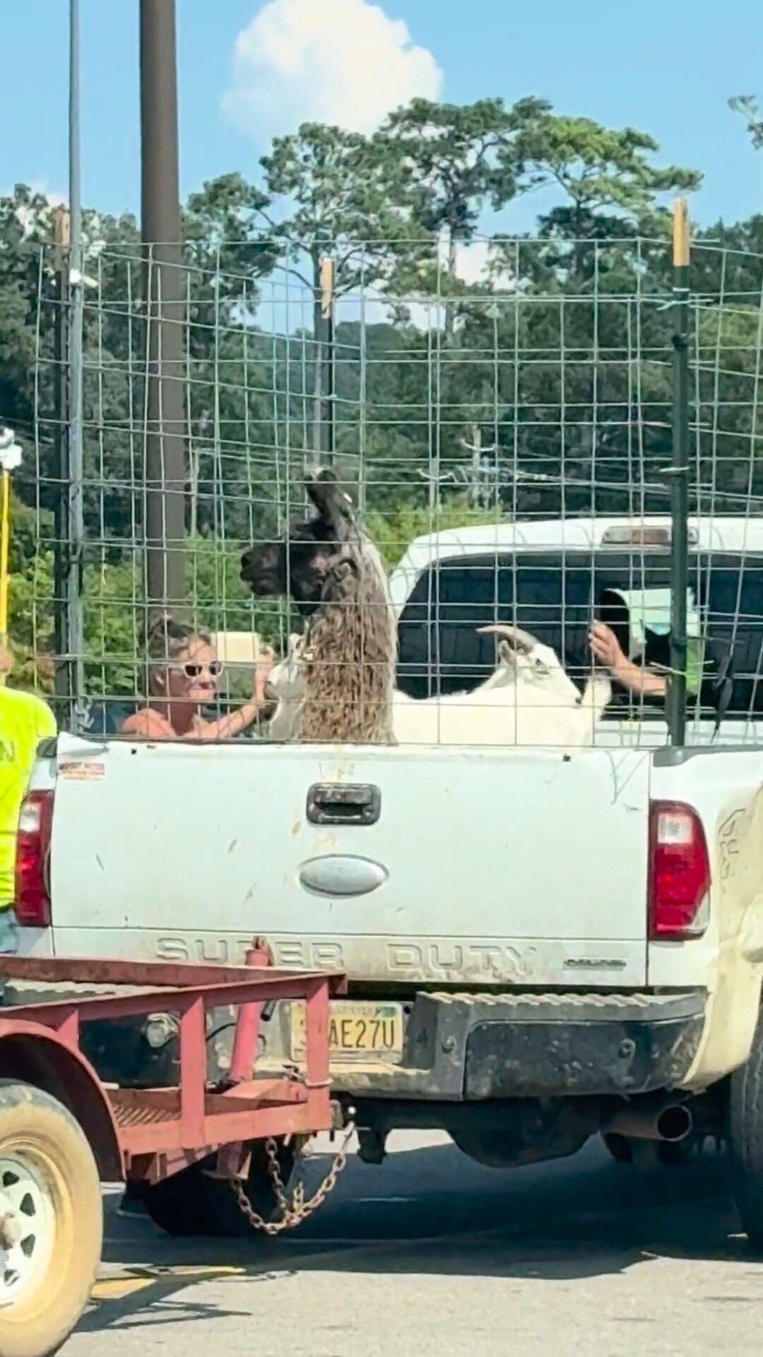 SUPER DURY more AE27U