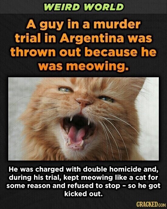 WEIRD WORLD A guy in a murder trial in Argentina was thrown out because he was meowing. Не was charged with double homicide and, during his trial, kept meowing like a cat for some reason and refused to stop - so he got kicked out. CRACKED.COM