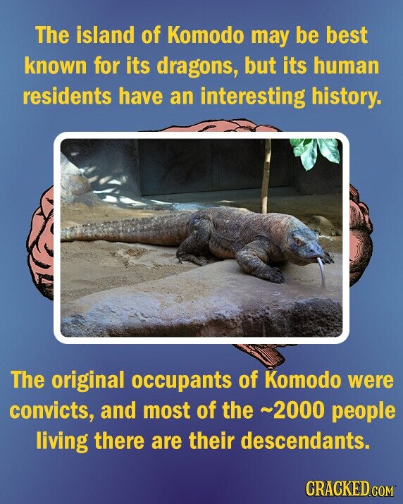 The island of Komodo may be best known for its dragons, but its human residents have an interesting history. The original occupants of Komodo were convicts, and most of the ~2000 people living there are their descendants. CRACKED.COM