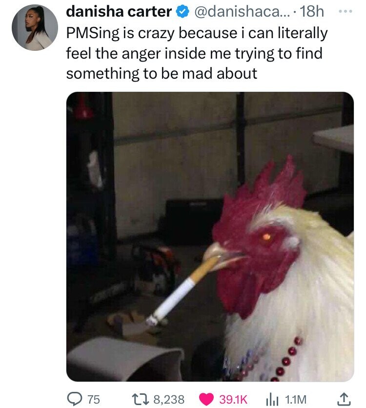 danisha carter @danishaca... 18h ... PMSing is crazy because i can literally feel the anger inside me trying to find something to be mad about 75 8,238 39.1K 1.1M