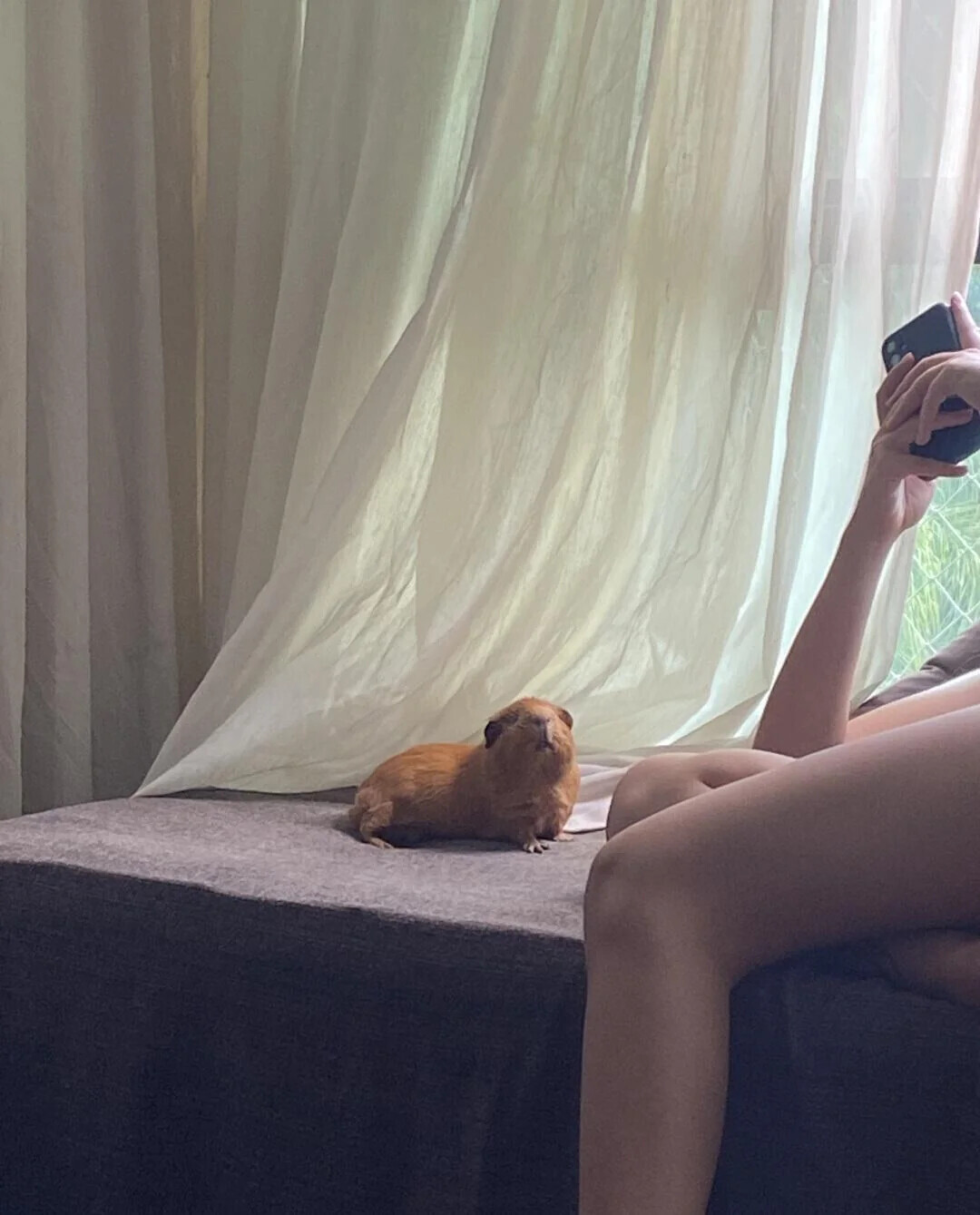 Unsettling Coincidences People Accidentally Captured