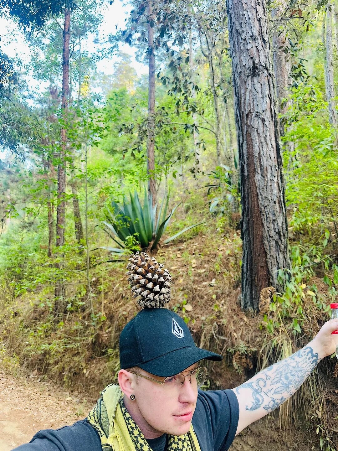 Satisfying Photos Taken at Precisely the Perfect Moment