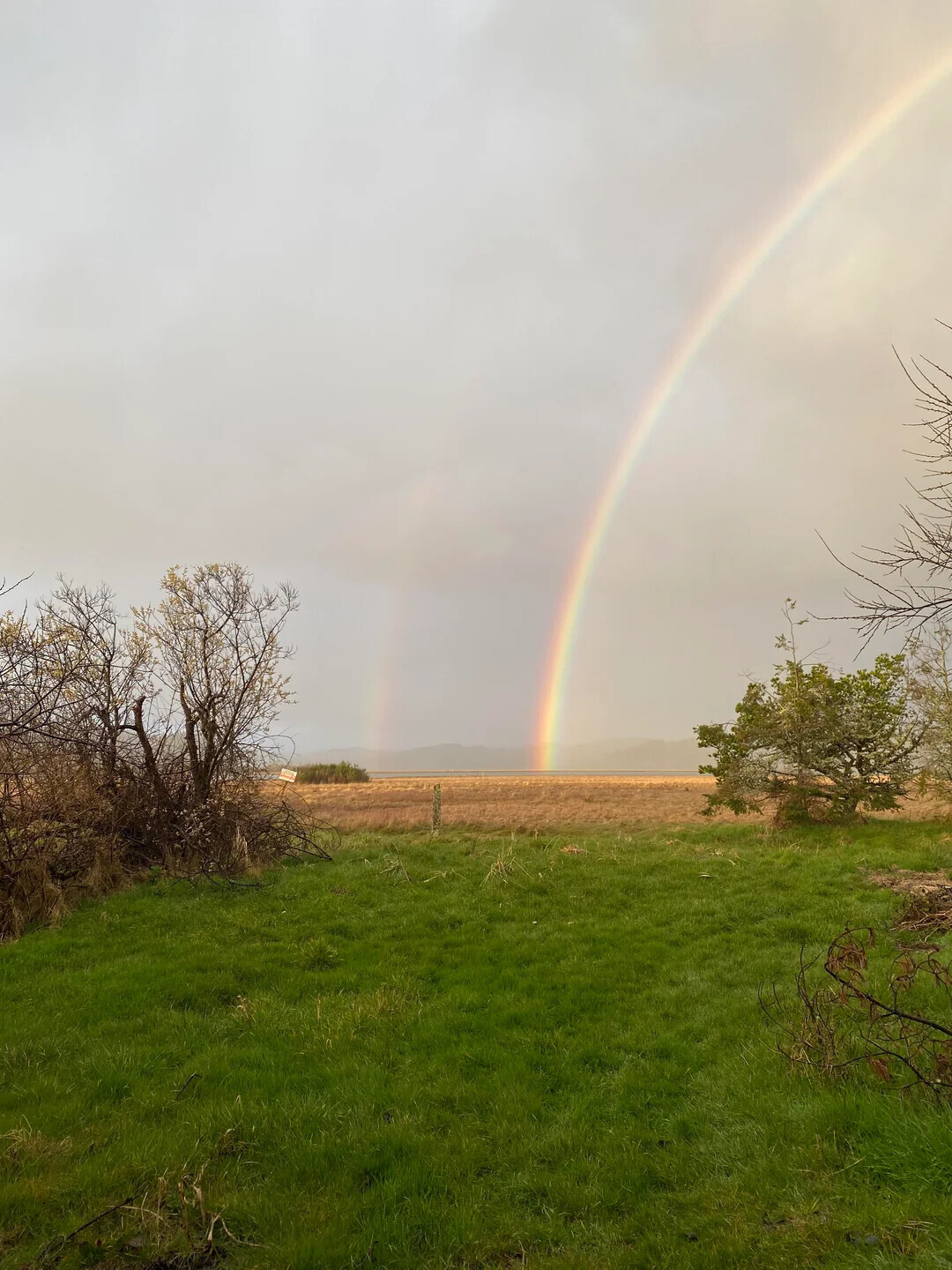 Uncommon Shots From Everyday Life That Look Normal