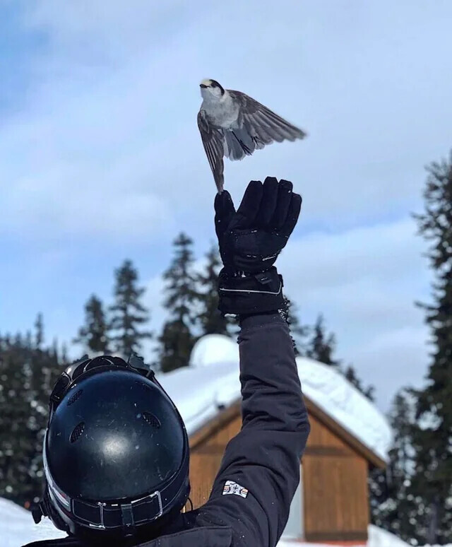 Photos Taken from the Before Disaster Collection