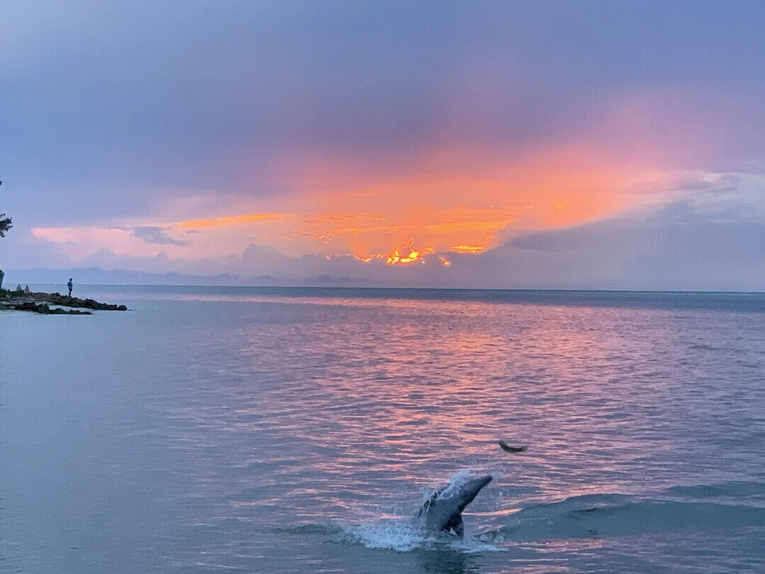 Unsettling Coincidences People Accidentally Captured