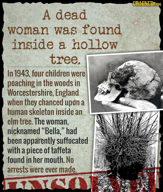 GRACKED.COM A dead woman was found inside a hollow tree. In 1943, four children were poaching in the woods in Worcestershire, England when they chanced upon a human skeleton inside an elm tree. The woman, nicknamed Bella, had been apparently suffocated with a piece of taffeta found in her mouth. No arrests were ever made.