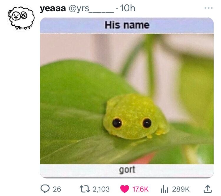 10h yeaaa @yrs His name gort 26 2,103 17.6K 289K