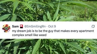 37 of the Funniest Tweets from Friday, October 10, 2025
