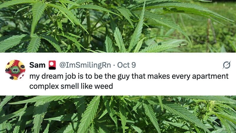 37 of the Funniest Tweets from Friday, October 10, 2025