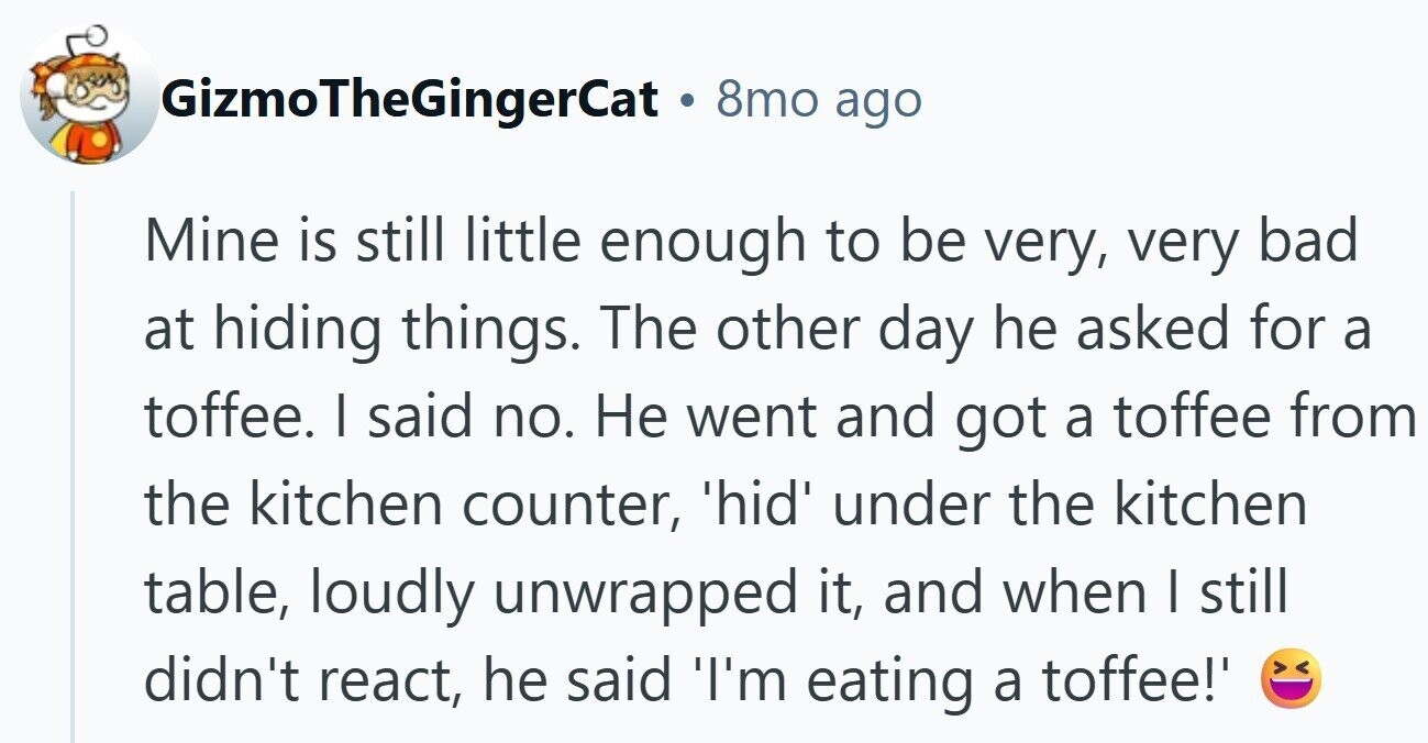 GizmoTheGingerCat . 8mo ago Mine is still little enough to be very, very bad at hiding things. The other day he asked for a toffee. I said no. Не went and got a toffee from the kitchen counter, 'hid' under the kitchen table, loudly unwrapped it, and when I still didn't react, he said 'I'm eating a toffee!'