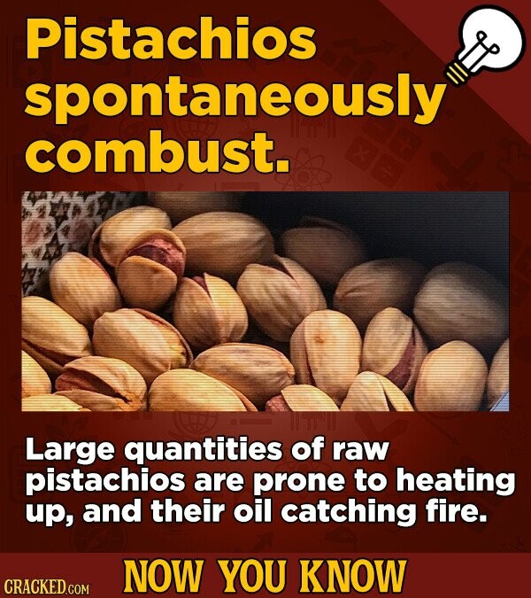 Pistachios spontaneously combust. Large quantities of raw pistachios are prone to heating up, and their oil catching fire. NOW YOU KNOW CRACKED.COM