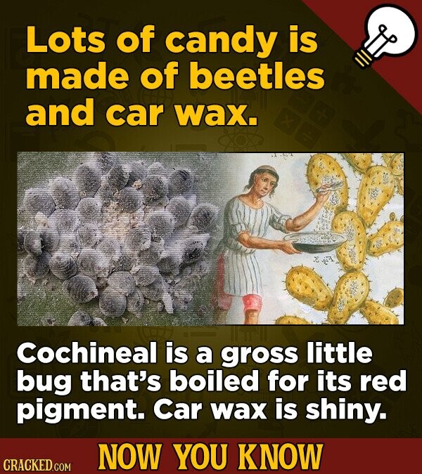 Lots of candy is made of beetles and car wax. Cochineal is a gross little bug that's boiled for its red pigment. Car wax is shiny. NOW YOU KNOW CRACKED.COM