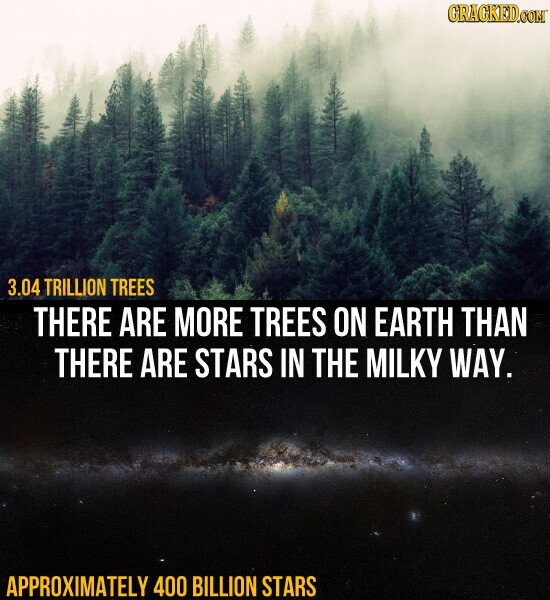 GRACKED.COM 3.04 TRILLION TREES THERE ARE MORE TREES ON EARTH THAN THERE ARE STARS IN THE MILKY WAY. APPROXIMATELY 400 BILLION STARS
