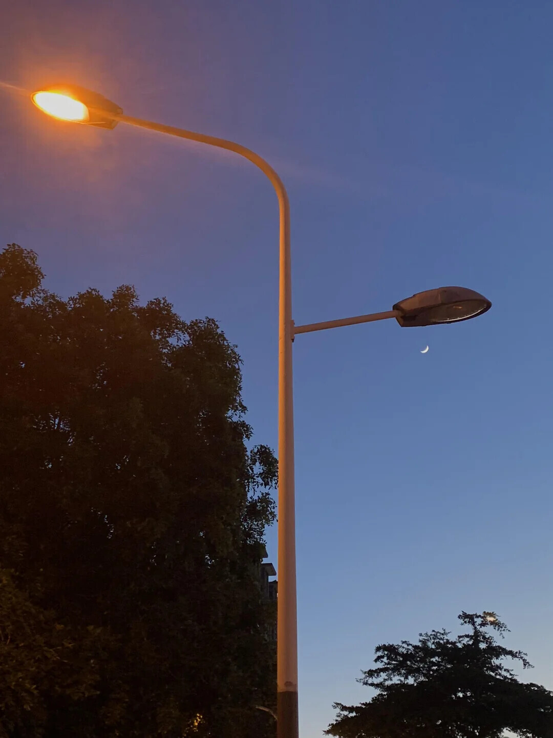 Uncommon Shots From Everyday Life That Look Normal