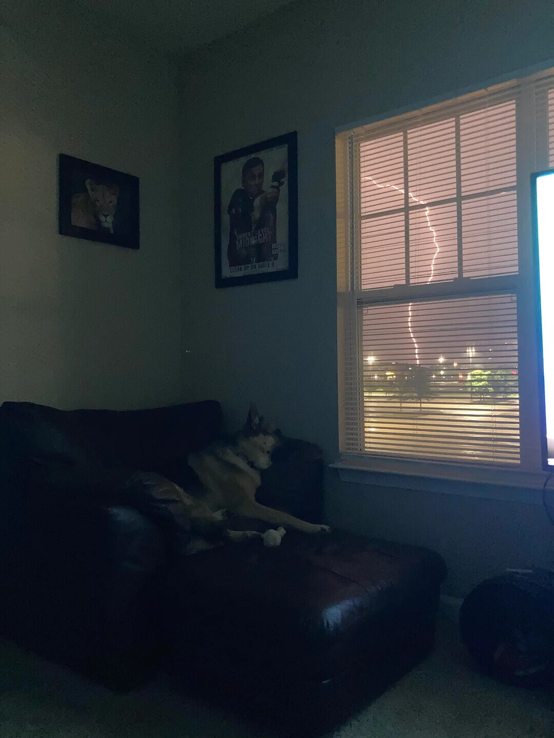 mar CLEAN UP ON AIRLE