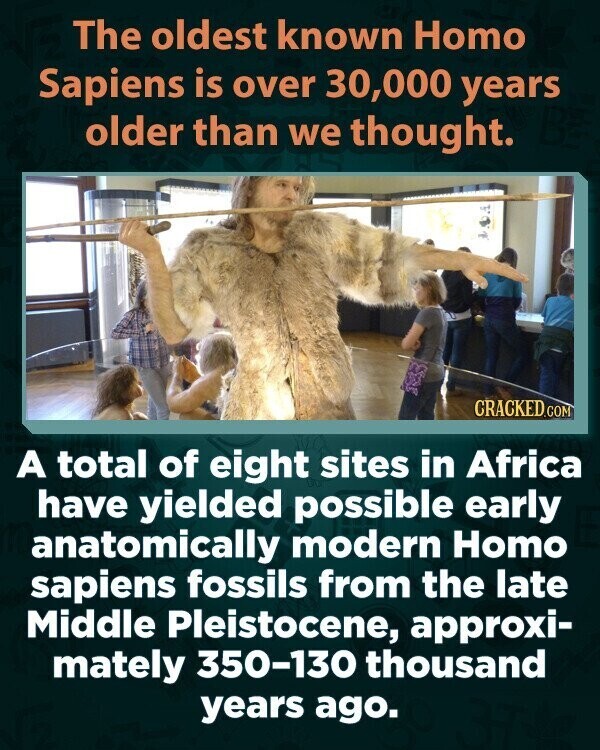 The oldest known Homo Sapiens is over 30,000 years older than we thought. CRACKED.COM A total of eight sites in Africa have yielded possible early anatomically modern Homo sapiens fossils from the late Middle Pleistocene, approxi- mately 350-130 thousand years ago.