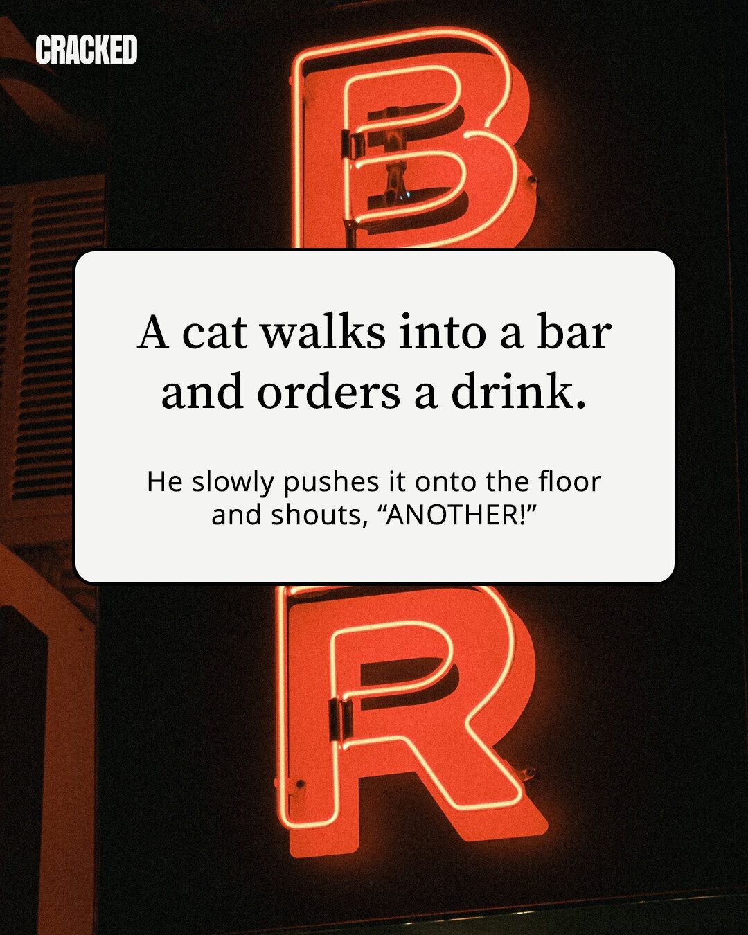 CRACKED A cat walks into a bar and orders a drink. Не slowly pushes it onto the floor and shouts, ANOTHER!