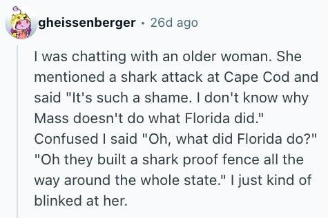 gheissenberger 26d ago I was chatting with an older woman. She mentioned a shark attack at Cape Cod and said It's such a shame. I don't know why Mass doesn't do what Florida did. Confused I said Oh, what did Florida do? Oh they built a shark proof fence all the way around the whole state. I just kind of blinked at her.