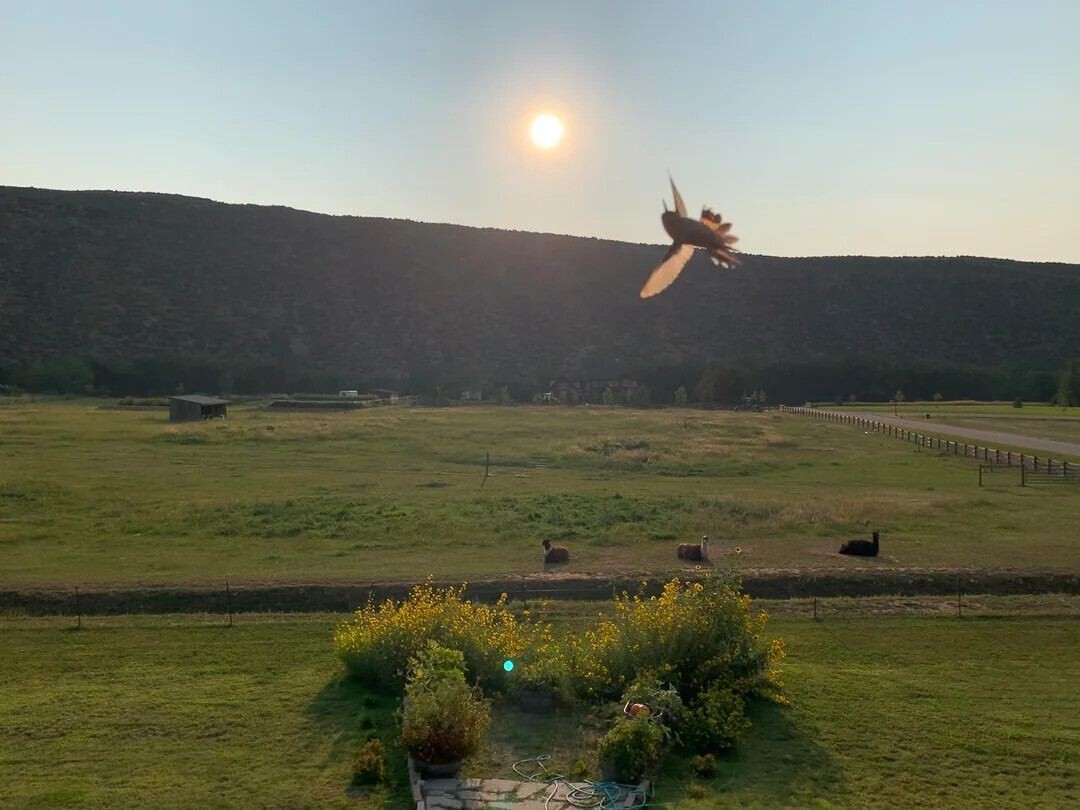 Unsettling Coincidences People Accidentally Captured