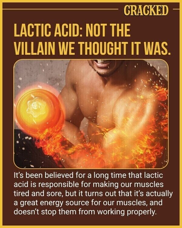 CRACKED LACTIC ACID: NOT THE VILLAIN WE THOUGHT IT WAS. It's been believed for a long time that lactic acid is responsible for making our muscles tired and sore, but it turns out that it's actually a great energy source for our muscles, and doesn't stop them from working properly.