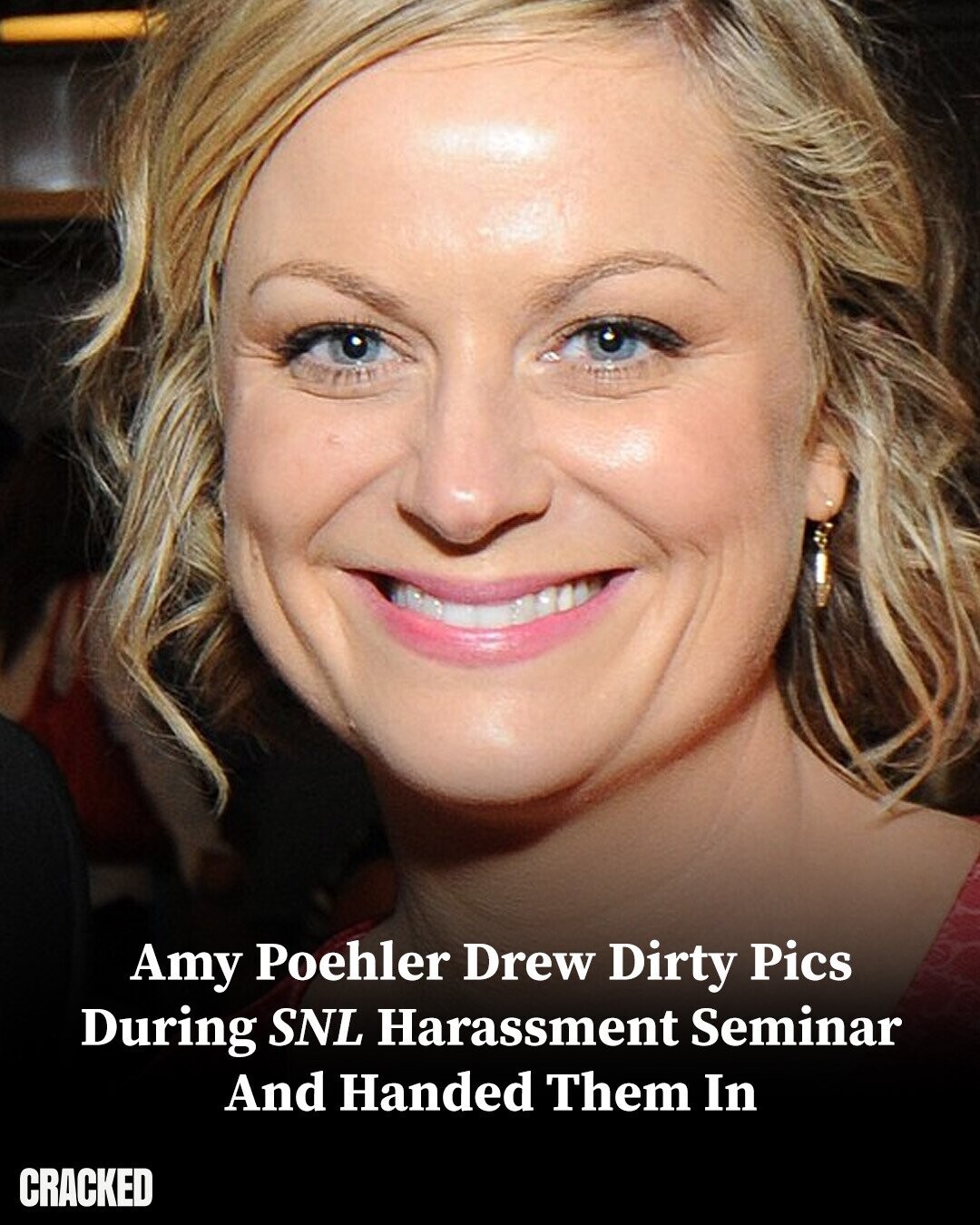 Amy Poehler Drew Dirty Pics During SNL Harassment Seminar And Handed Them In CRACKED