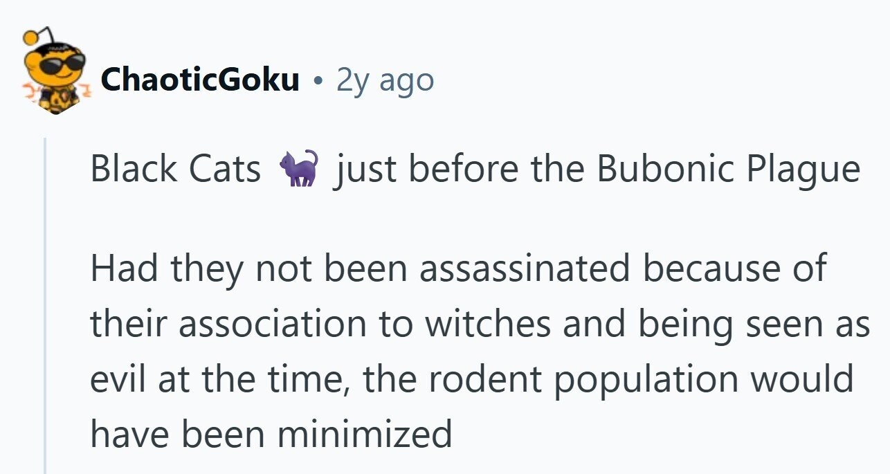 ChaoticGoku . 2y ago Black Cats just before the Bubonic Plague Had they not been assassinated because of their association to witches and being seen as evil at the time, the rodent population would have been minimized