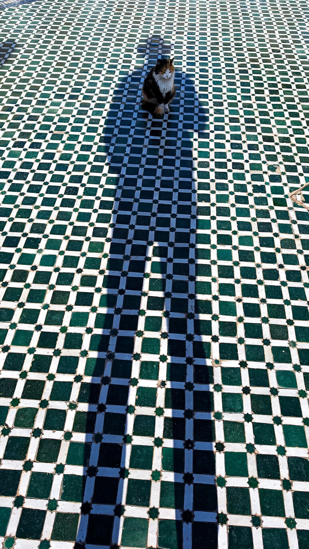 Uncommon Shots From Everyday Life That Look Normal