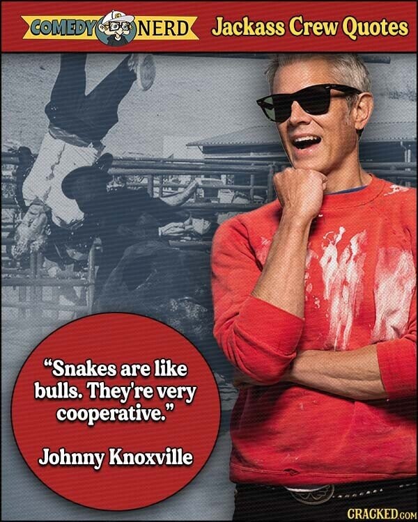 COMEDY NERD Jackass Crew Quotes Snakes are like bulls. They're very cooperative. Johnny Knoxville CRACKED.COM