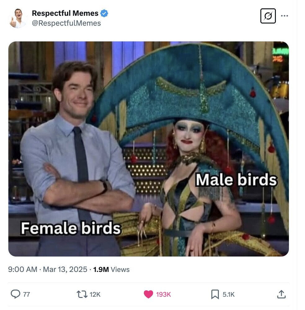 Respectful Memes ... @RespectfulMemes Male birds Female birds 9:00 AM Mar 13, 2025 . 1.9M Views 77 12K 193K 5.1K 