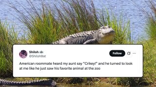 54 of the Funniest Burns from the Week of September 8, 2025