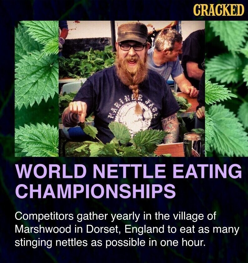 CRACKED MARINER FACE ntel WORLD NETTLE EATING CHAMPIONSHIPS Competitors gather yearly in the village of Marshwood in Dorset, England to eat as many stinging nettles as possible in one hour.