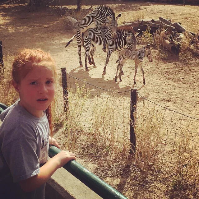 Unsettling Coincidences People Accidentally Captured