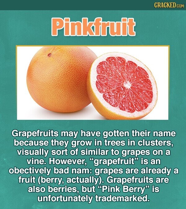 CRACKED.COM Pinkfruit Grapefruits may have gotten their name because they grow in trees in cluster,, visually sort of similar to grapes on a vine. However, grapefruit is an obectively bad nam: grapes are already a fruit (berry, actually). Grapefruits are also berries, but Pink Berry is unfortunately trademarked.