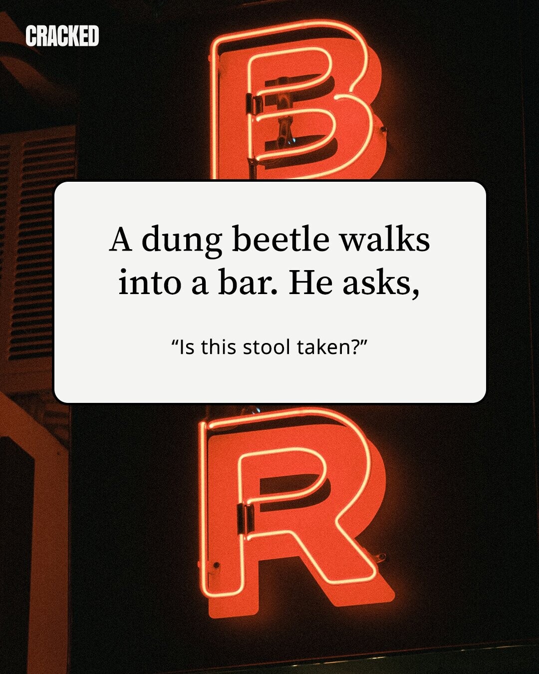 CRACKED A dung beetle walks into a bar. Не asks, Is this stool taken?