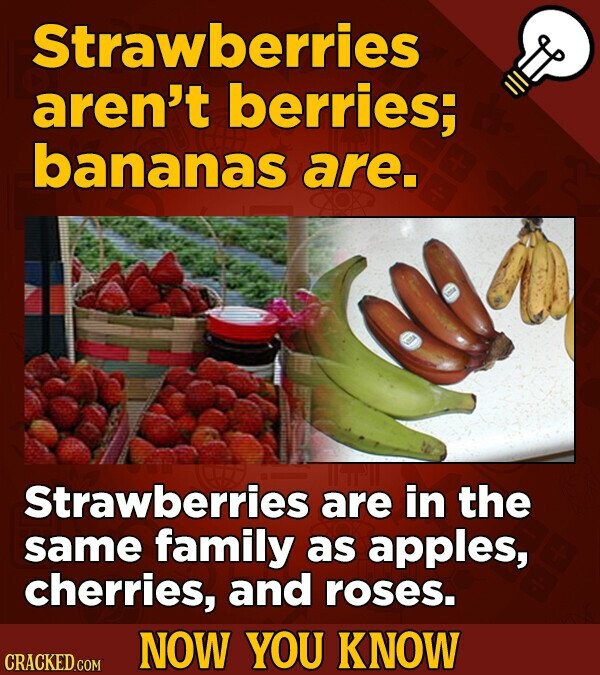 Strawberries aren't berries; bananas are. Strawberries are in the same family as apples, cherries, and roses. NOW YOU KNOW CRACKED.COM